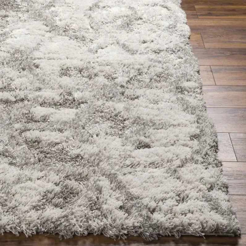 Alta shag 7'10" x 10' Rug