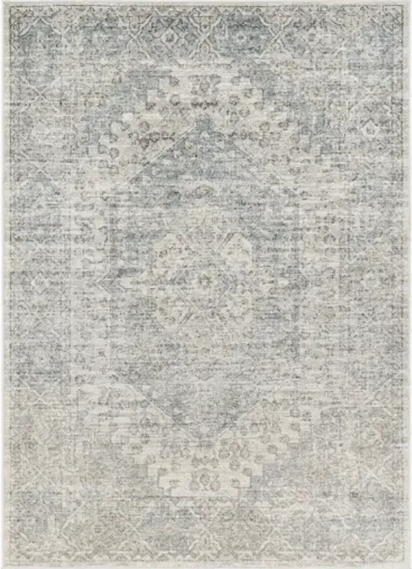 Alpharetta APH-2308 9'2" x 12' Machine Woven Rug