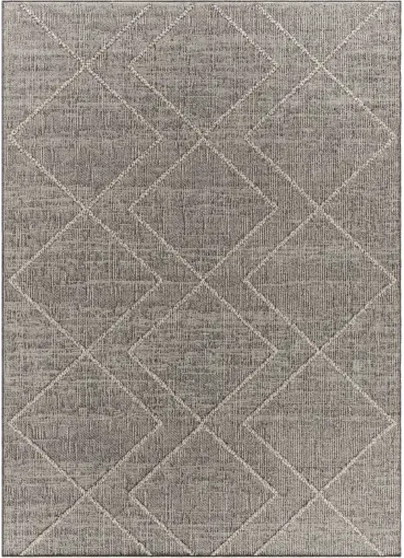 Sarasota SSO-2306 5' x 7' Machine Woven Rug