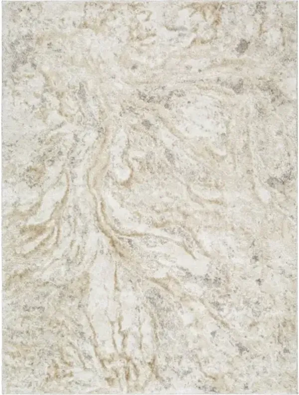 Andorra Plus ARP-2300 5'3" x 7'3" Machine Woven Rug