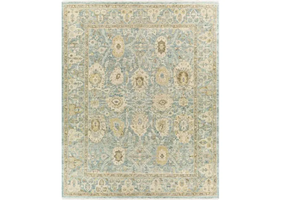 Anatolia 8' x 10' Rug