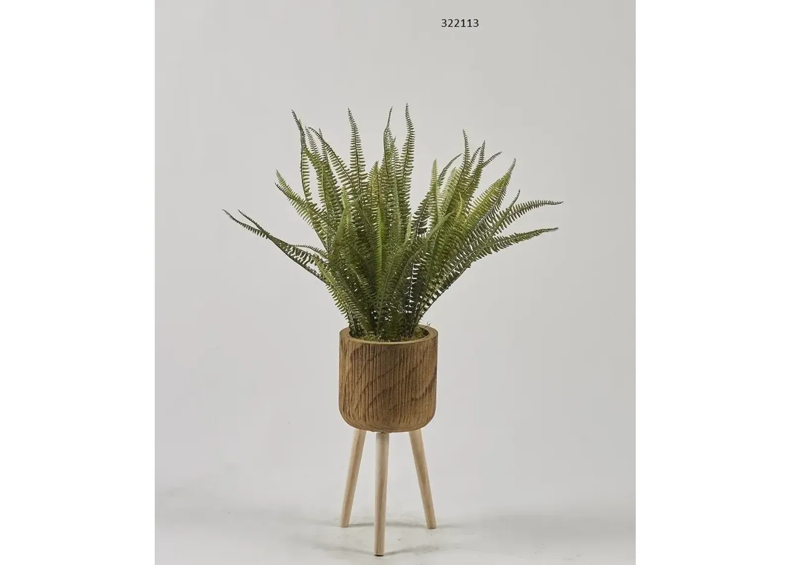 Boston Fern in Wood Planter with Wood Legs