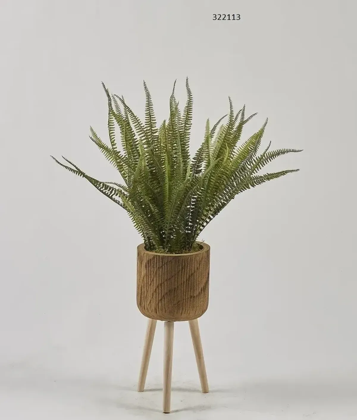 Boston Fern in Wood Planter with Wood Legs