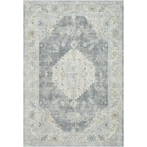 Avellino AVL-2315 5'3" x 7' Machine Woven Rug