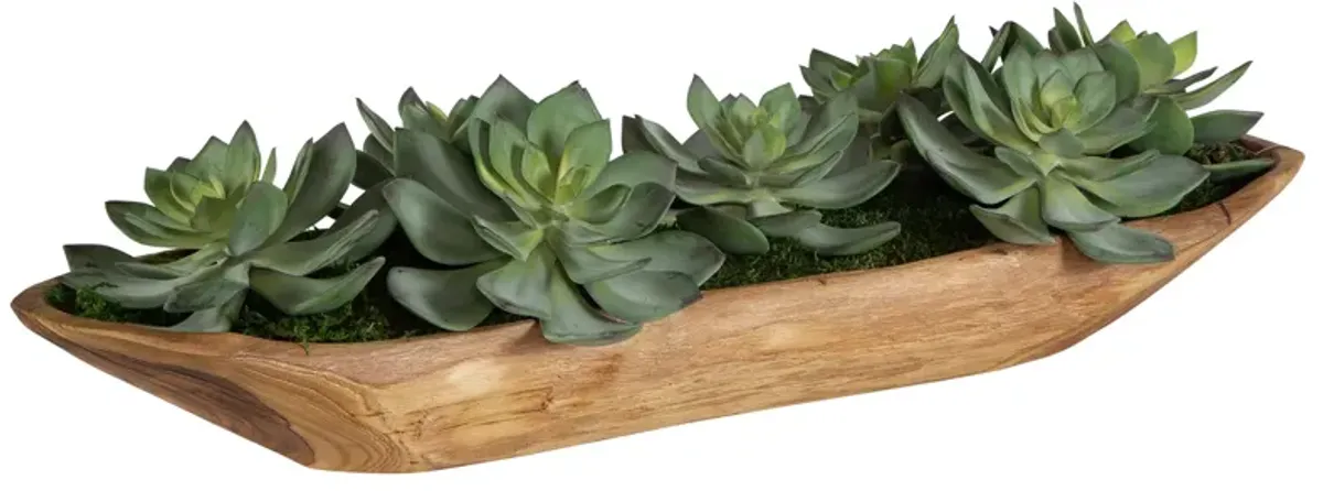 Yuma Succulent Centerpiece