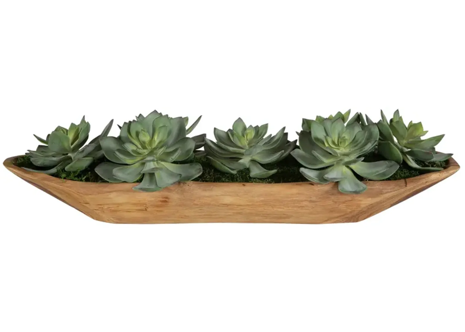 Yuma Succulent Centerpiece