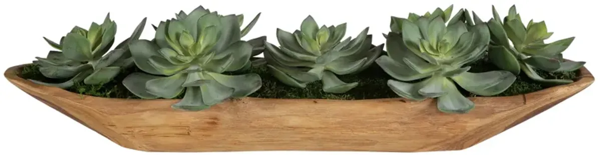 Yuma Succulent Centerpiece