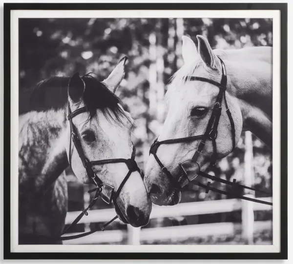 Apple Of My Eye Framed Print