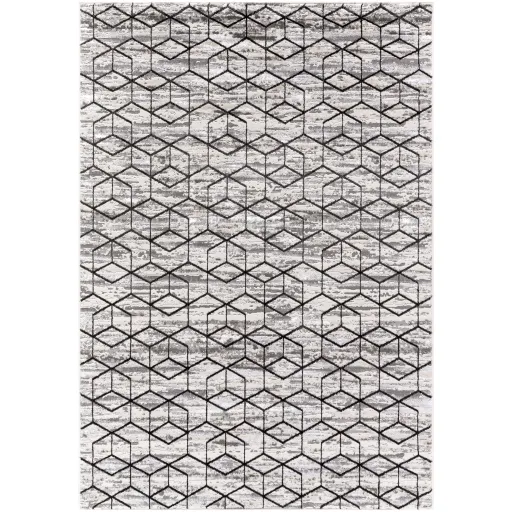 Lustro LSR-2333 7'10" x 10' Machine Woven Rug