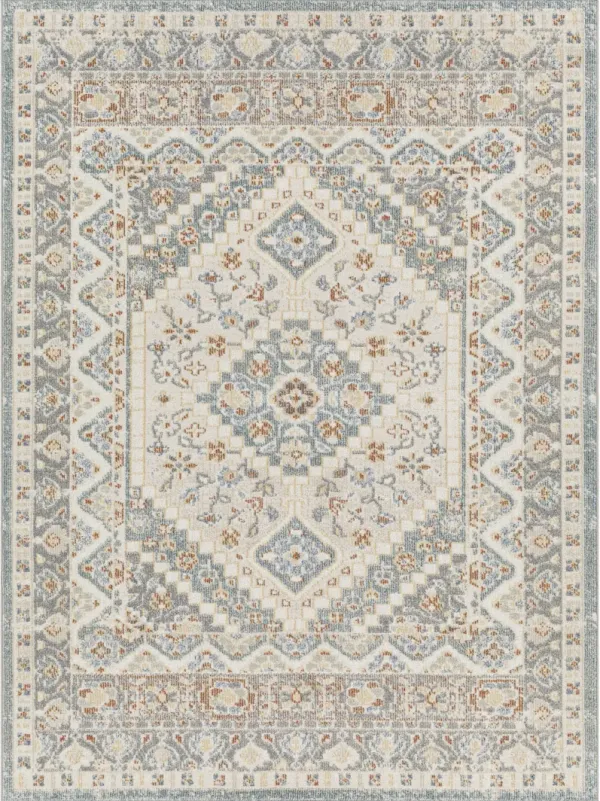 Santana SNN-2302 2'2" x 3'9" Machine Woven Rug