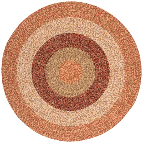 BRAIDED Hand Woven 5' x 5' Round area rug