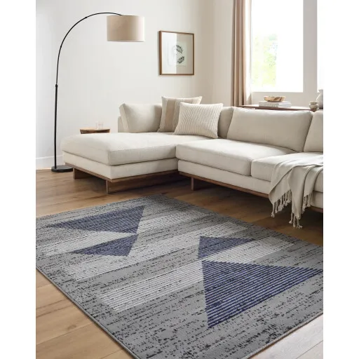 Pisa PSS-2379 7'10" x 10' Machine Woven Rug