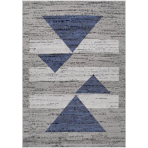 Pisa PSS-2379 7'10" x 10' Machine Woven Rug