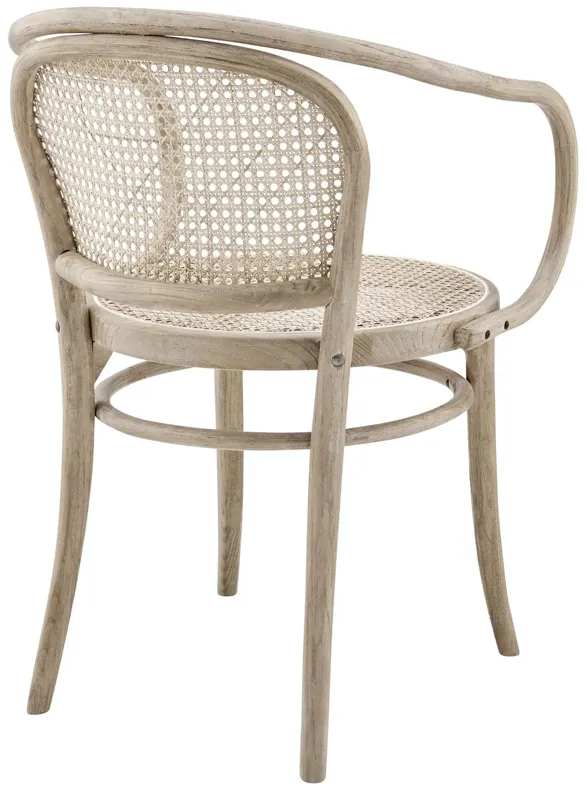 Oliana Wood Dining Armchair