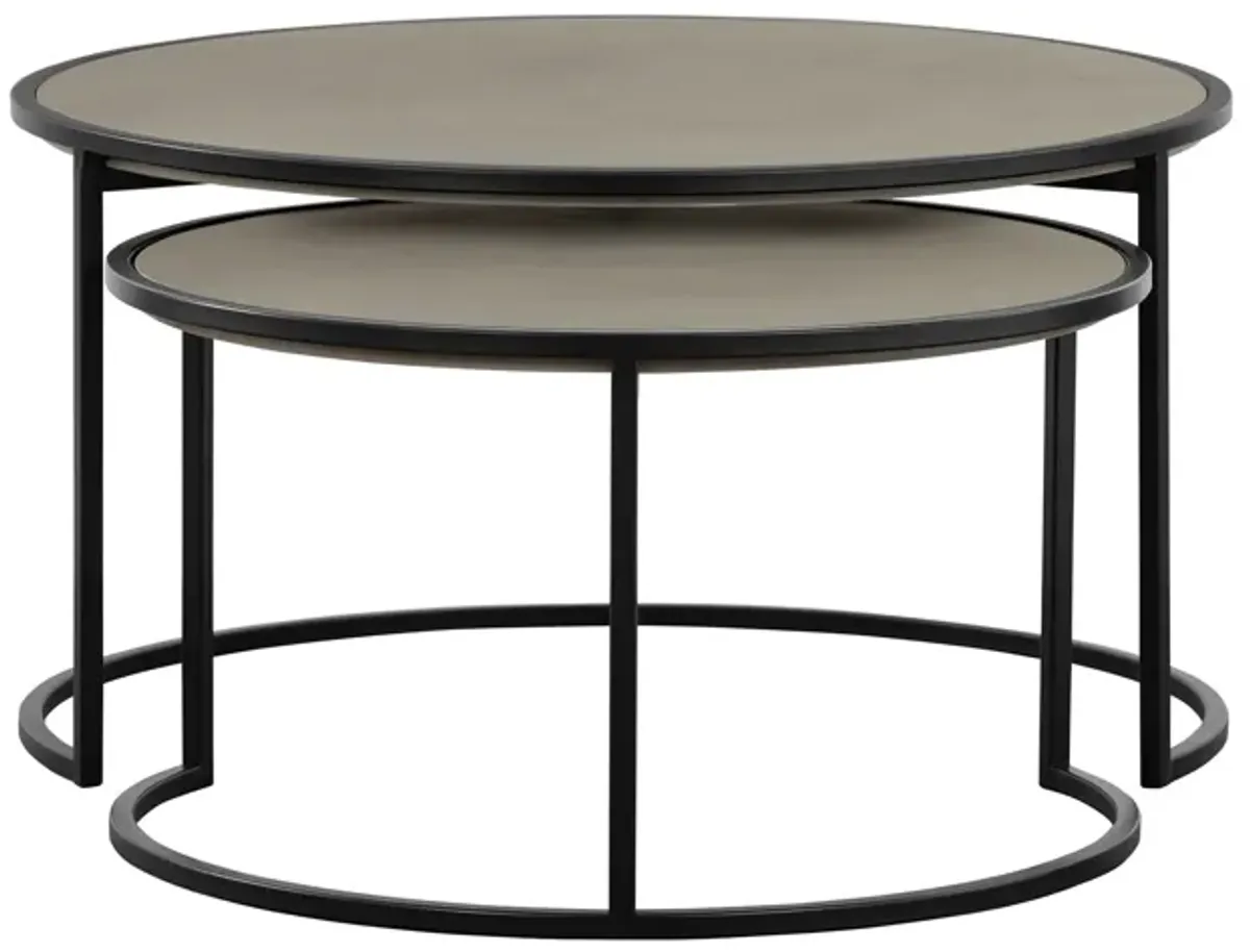 Rina 2 Piece Nesting Coffee Table Set