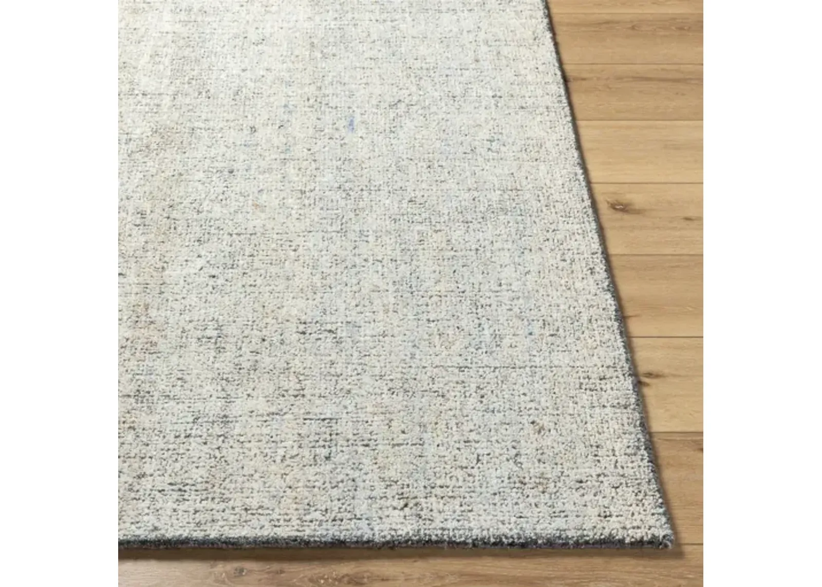 Alicia ACS-2302 2' x 3' Hand Made Rug