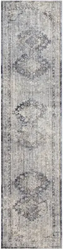 Liverpool 2'7" x 10'2" Rug