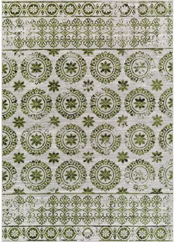 Lavadora 9'3" x 12' Rug