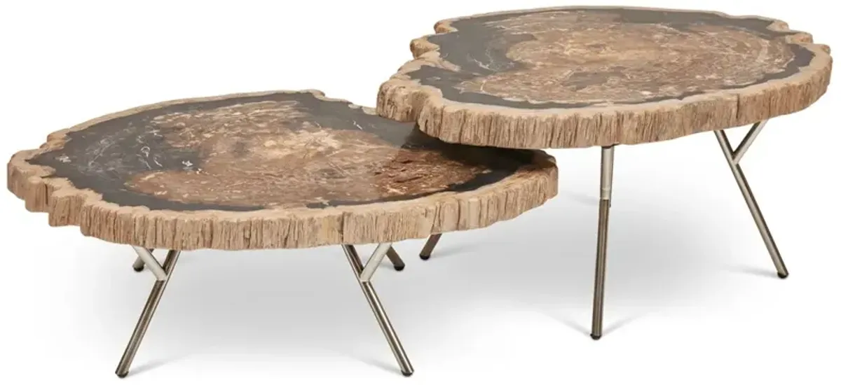 Lastra Coffee Table - Set Of 2