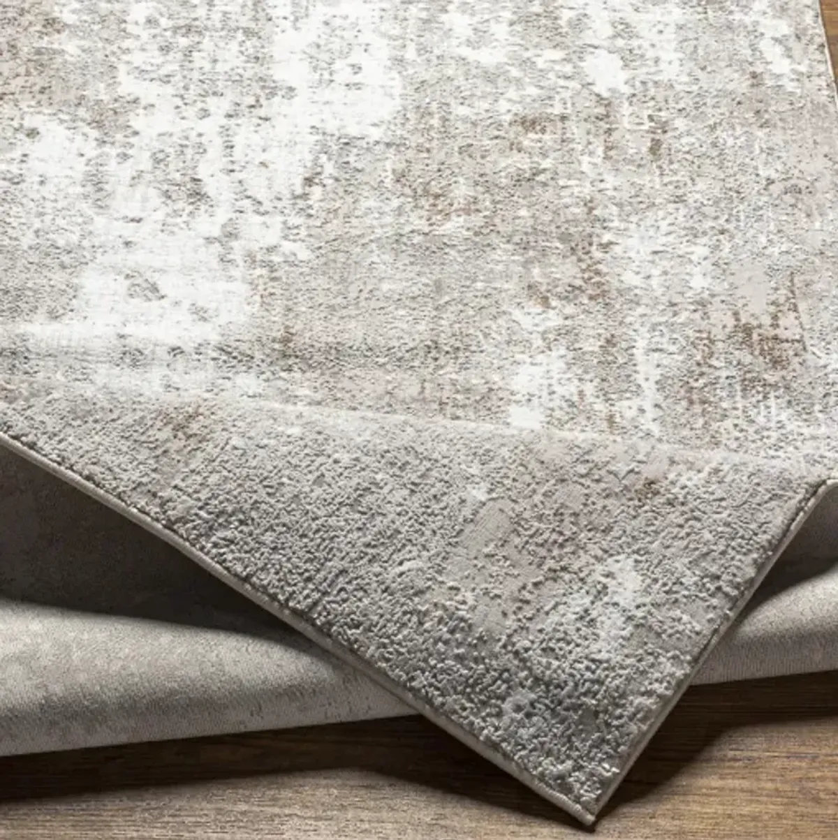 Allegro 5'3" x 7' Rug