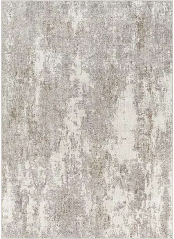 Allegro 5'3" x 7' Rug