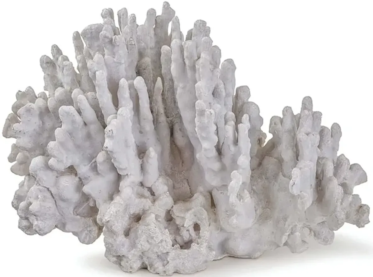 Coral Art Piece Large (White)