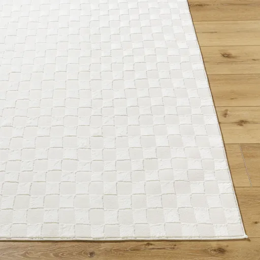 Alder ALD-2320 1'11" x 3'9" Machine Woven Rug