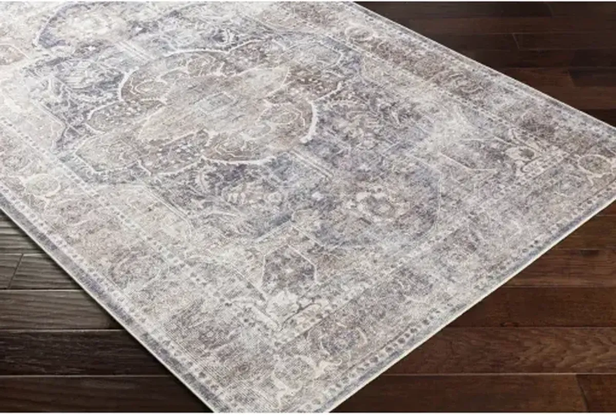 Tahmis THI-2700 2'7" x 7'10" Rug