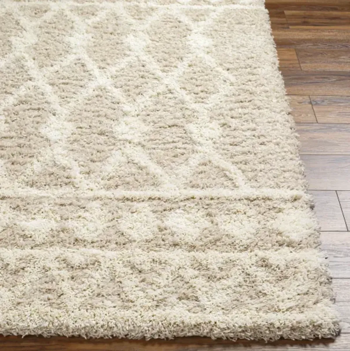 Urban Shag USG-2345 2'7" x 7'3" Machine Woven Rug