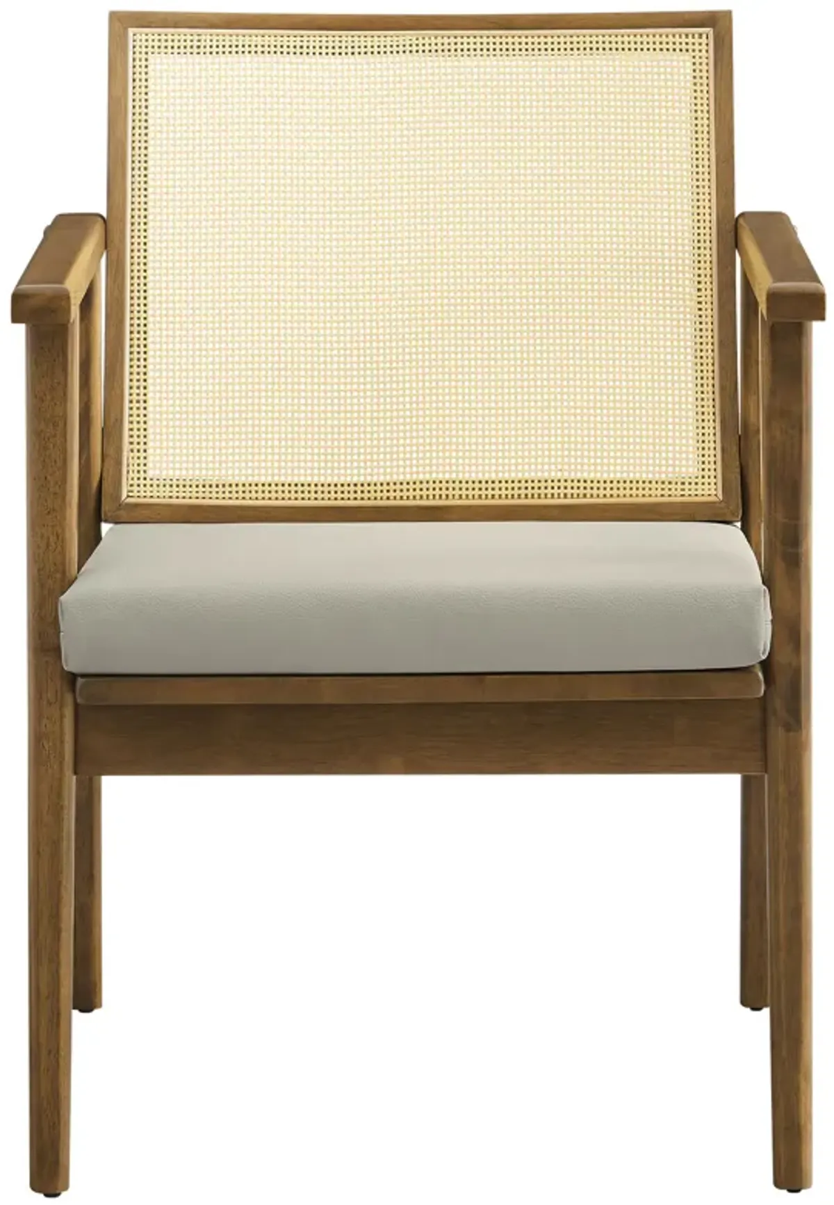 Thera Vegan Leather and Cane Accent Armchairs Set of 2 by Modway