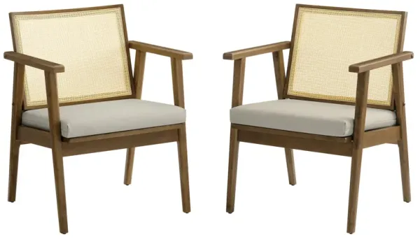 Thera Vegan Leather and Cane Accent Armchairs Set of 2 by Modway