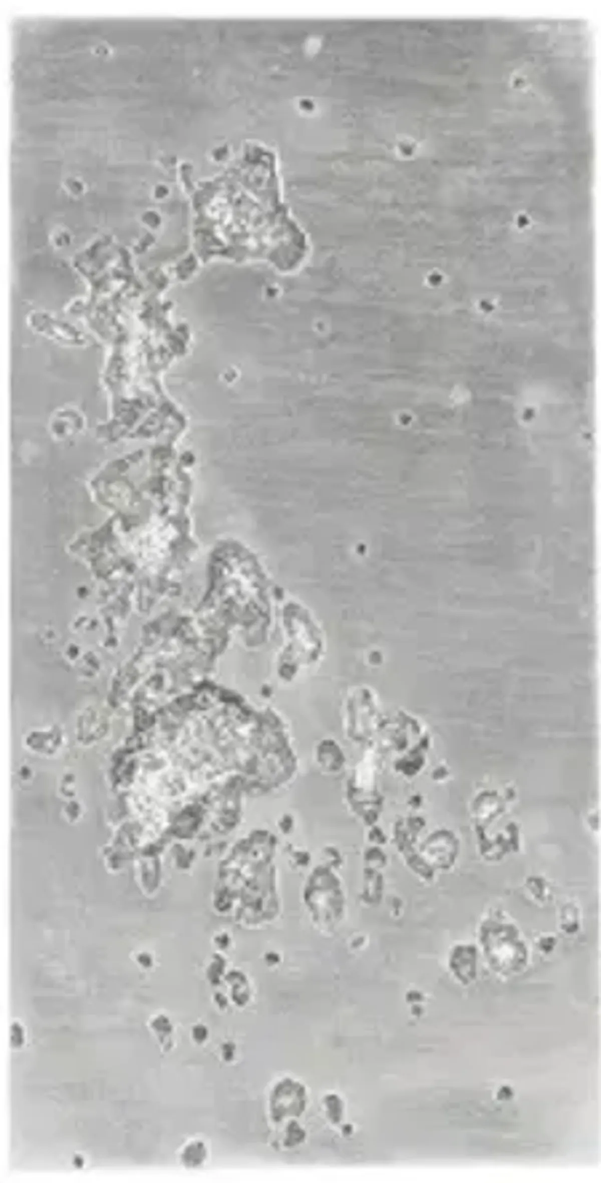 splotch wall art, rectangle, silver leaf