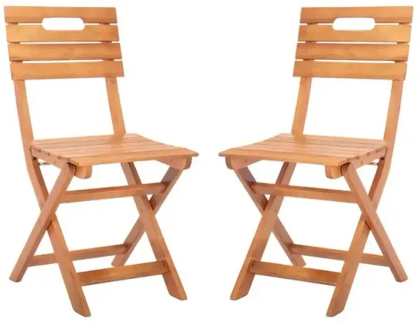 Blison Folding Chairs - Set of 2