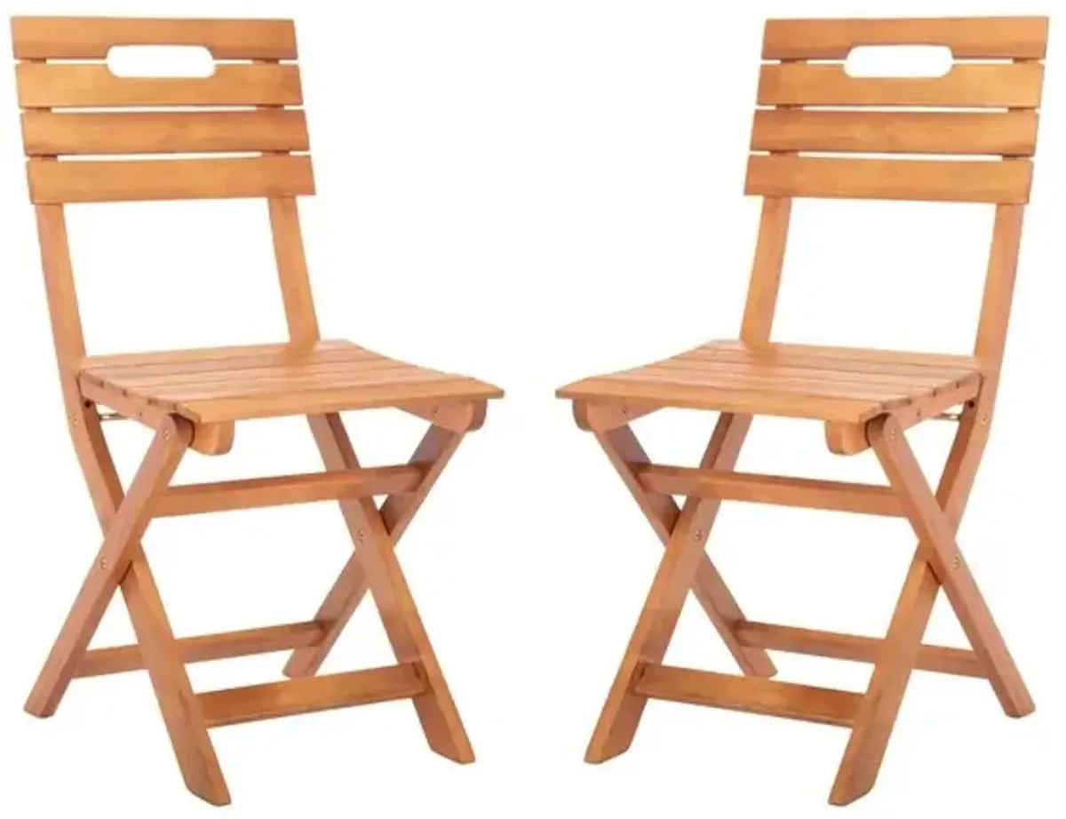 Blison Folding Chairs - Set of 2