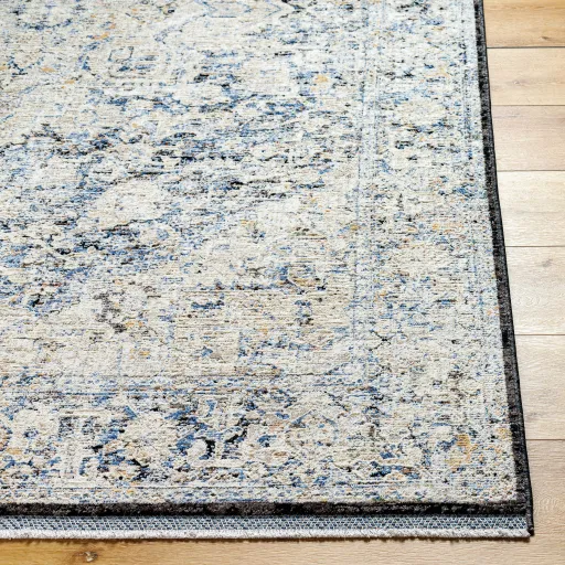 Rivaldo RVD-2304 2'7" x 7'10" Machine Woven Rug