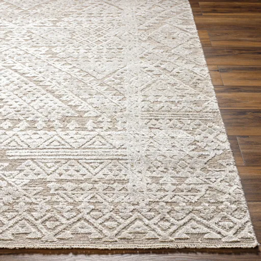 Amina AMA-2304 2' x 3' Handmade Rug