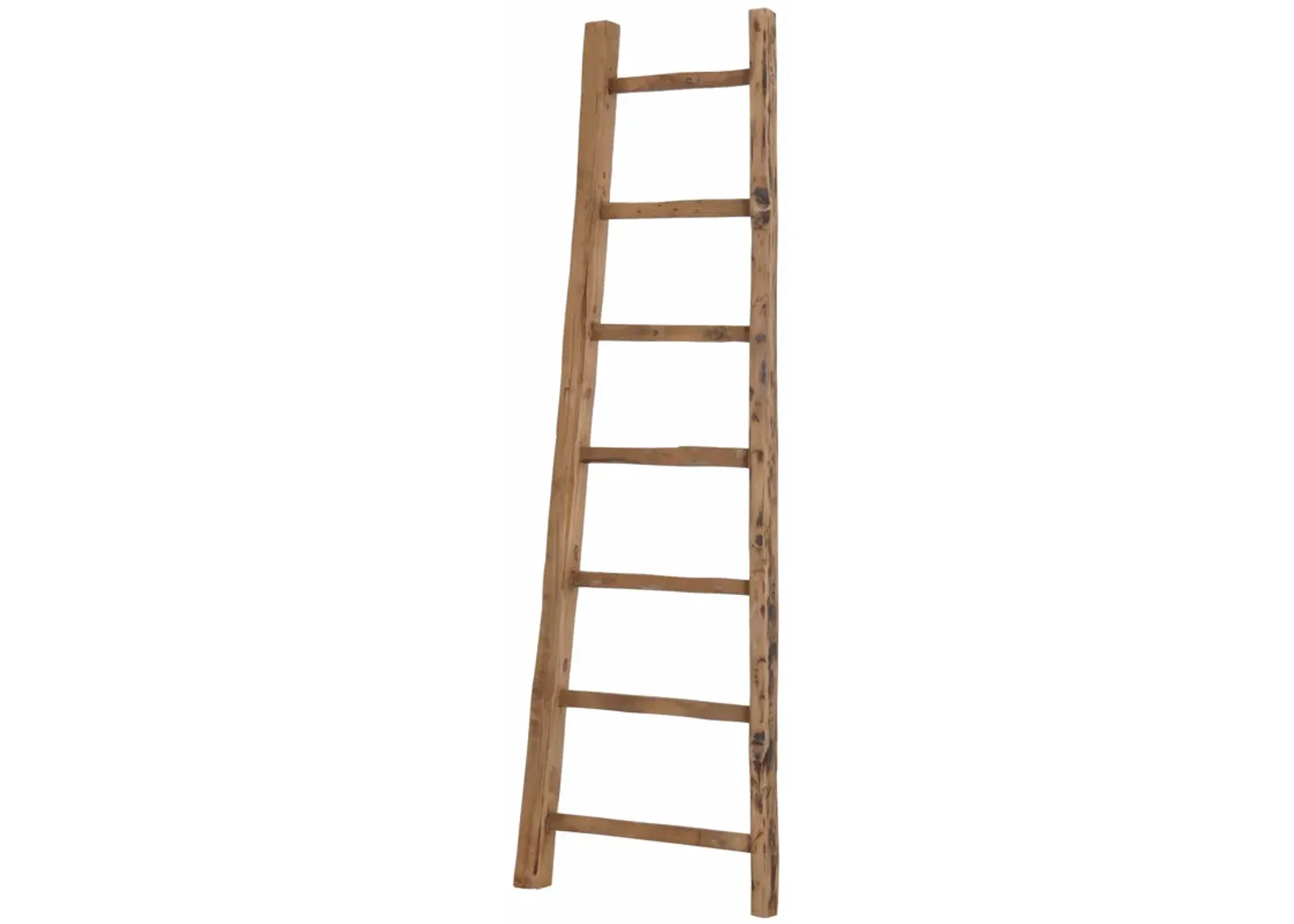 D-Bodhi Ladder