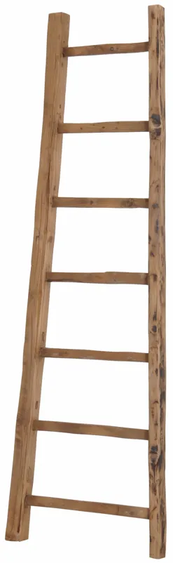 D-Bodhi Ladder