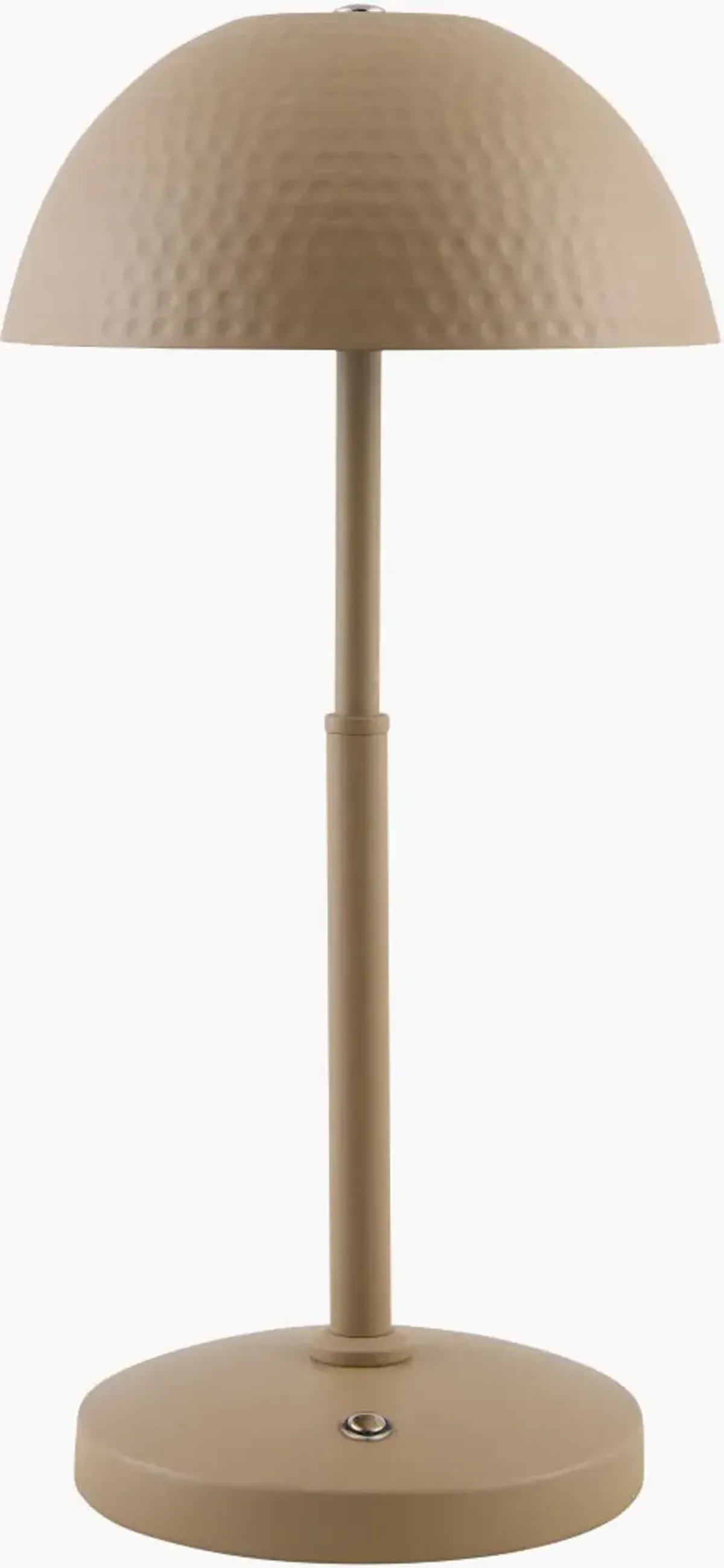 Elvas 15"H x 7"W x 7"D Accent Table Lamp