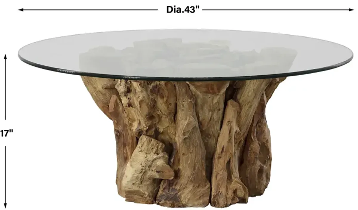 Driftwood Glass Top Large Coffee Table