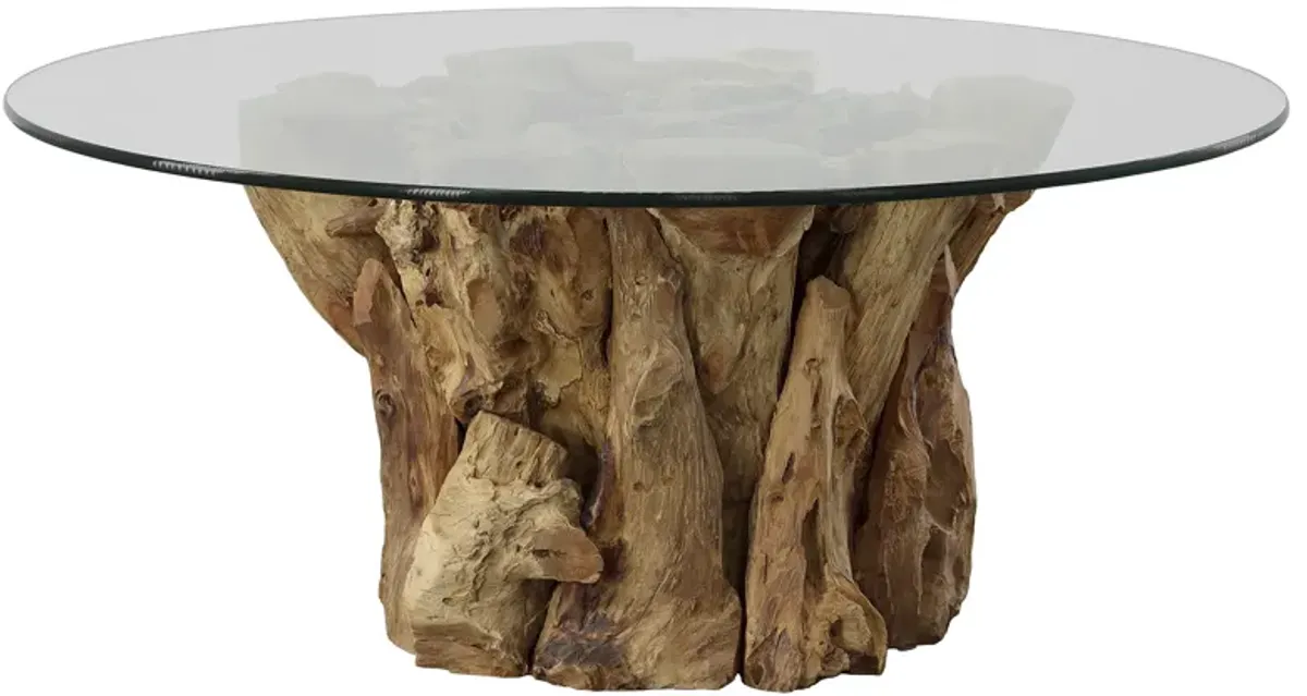 Driftwood Glass Top Large Coffee Table