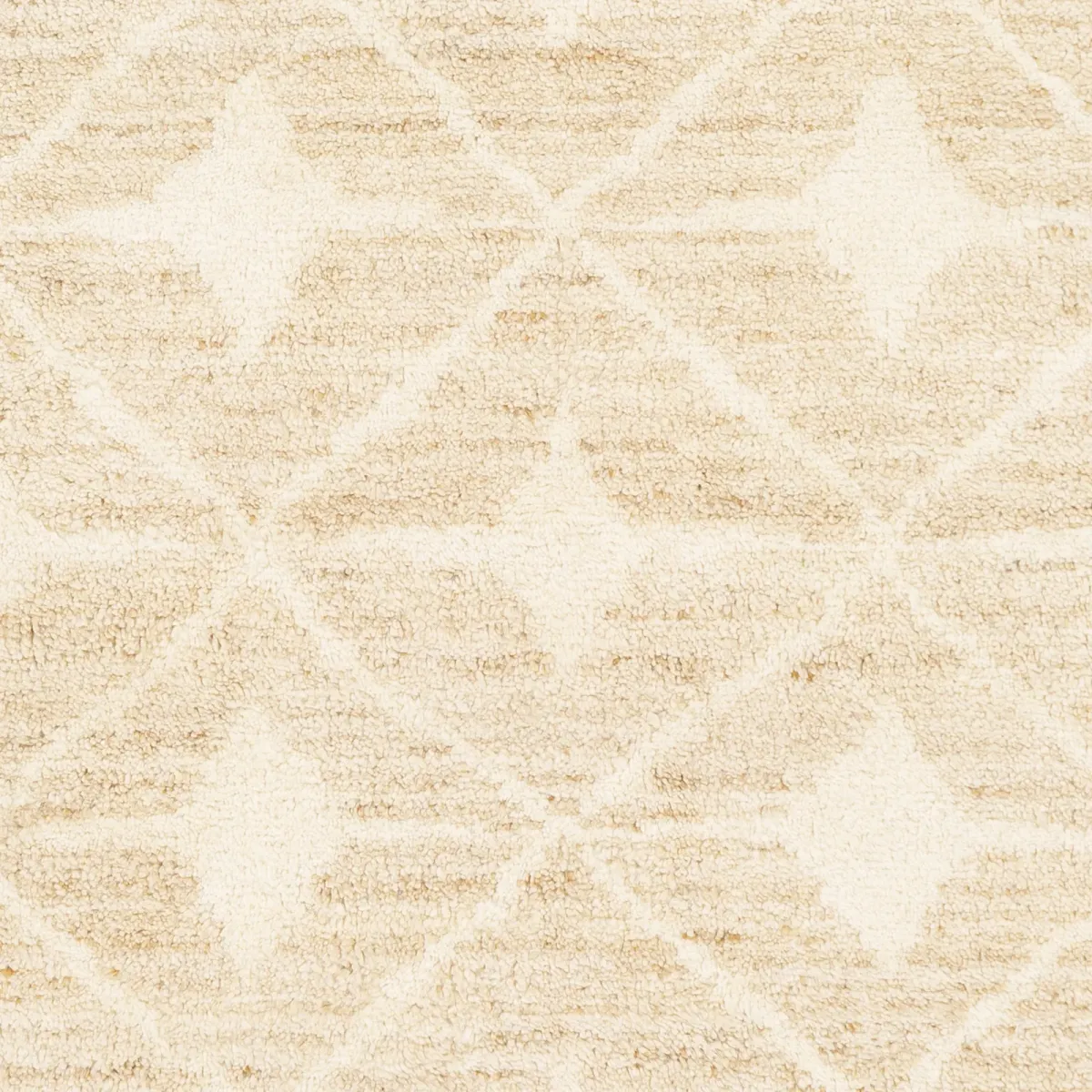 Fez FEZ-2302 9' x 12' Hand Made Rug