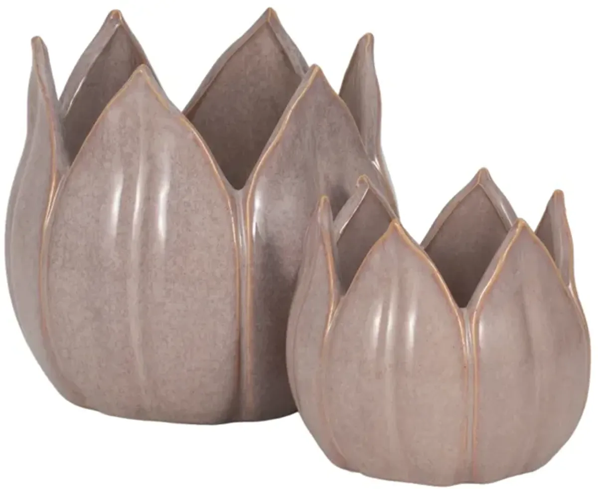 S/2 5/8" Petal Planters, Lavender