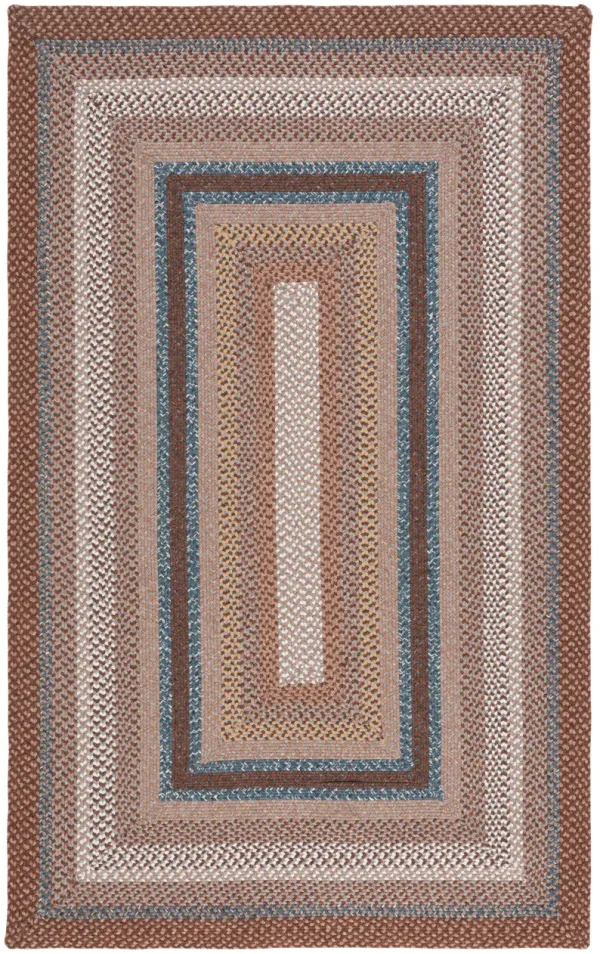 BRAIDED Hand Woven 2'-6' x 4' area rug