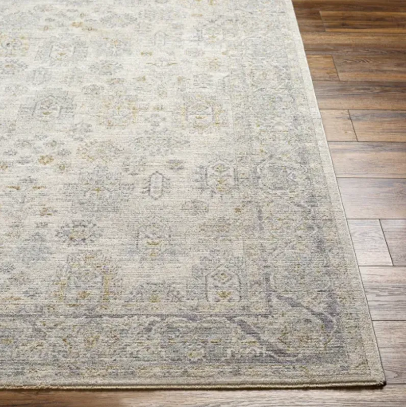 Avant Garde AVT-2342 2'7" x 7'3" Rug