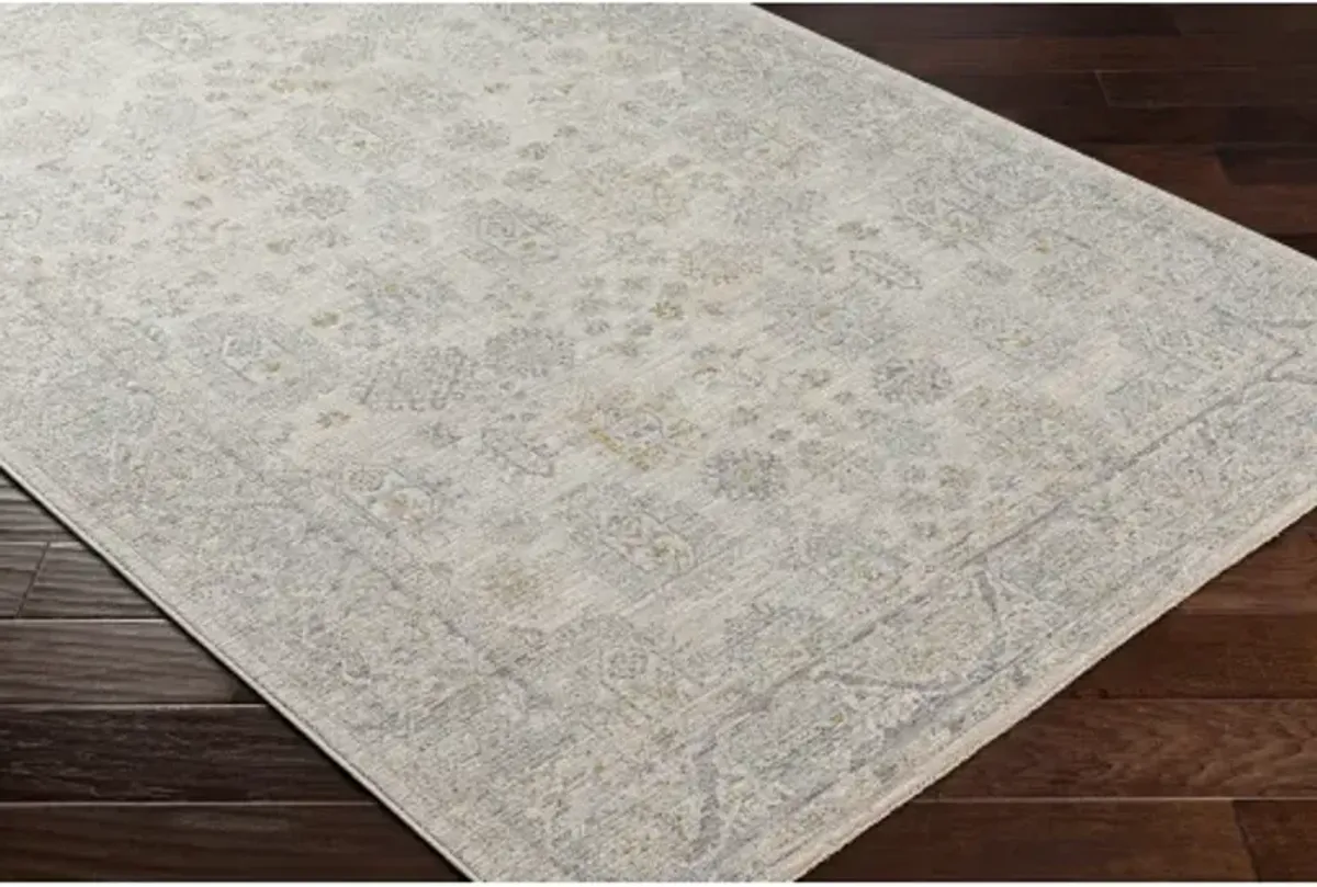 Avant Garde AVT-2342 2'7" x 7'3" Rug