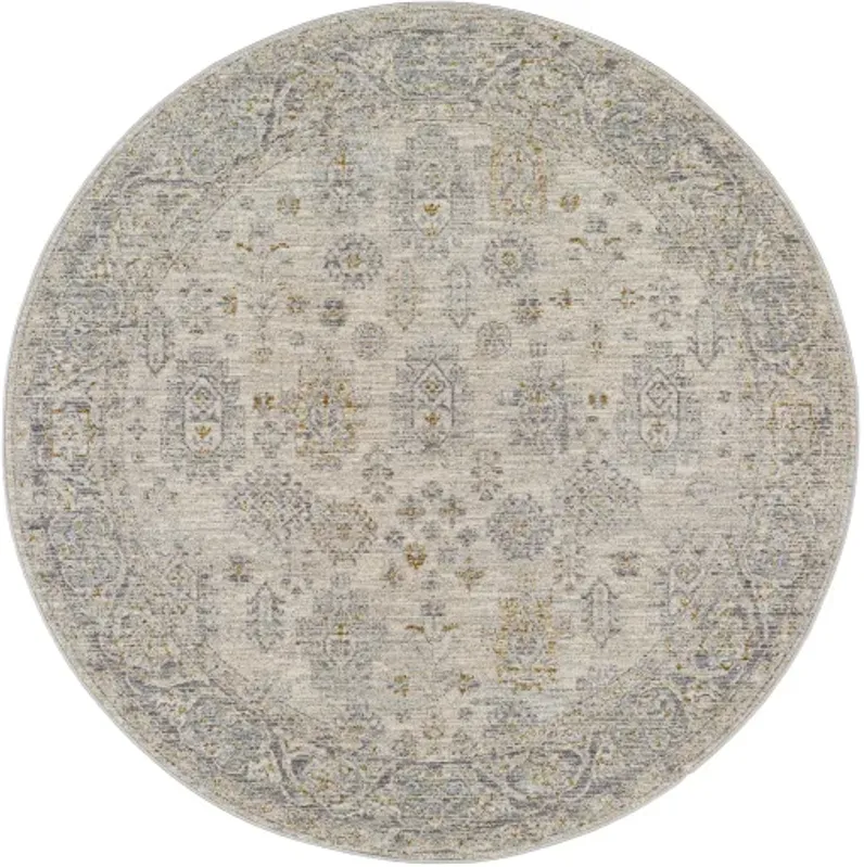 Avant Garde AVT-2342 2'7" x 7'3" Rug