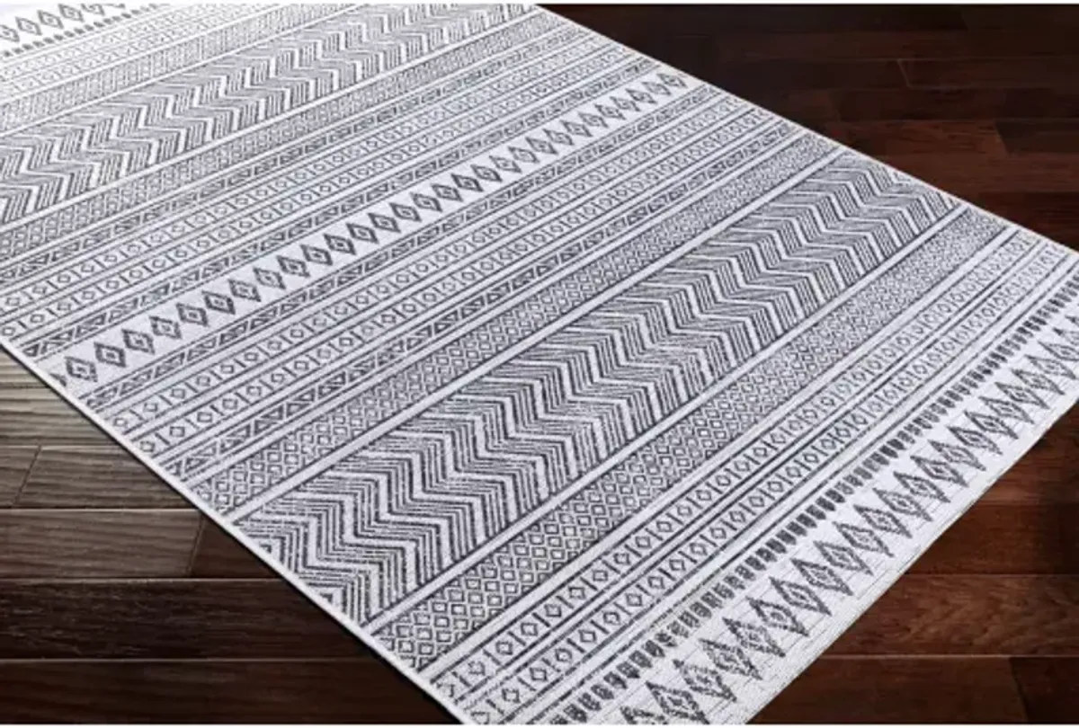 Eagean 8'10" x 12' Rug