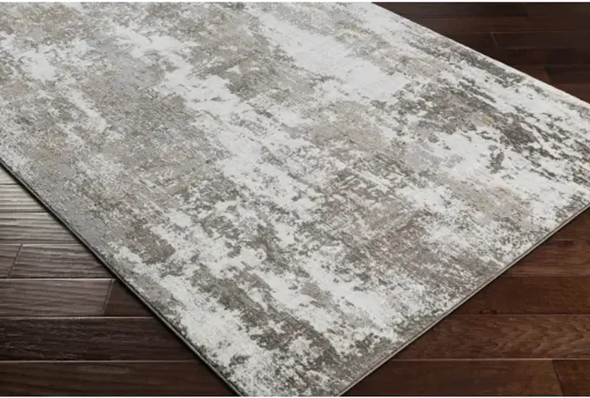 Allegro 6'7" x 9' Rug