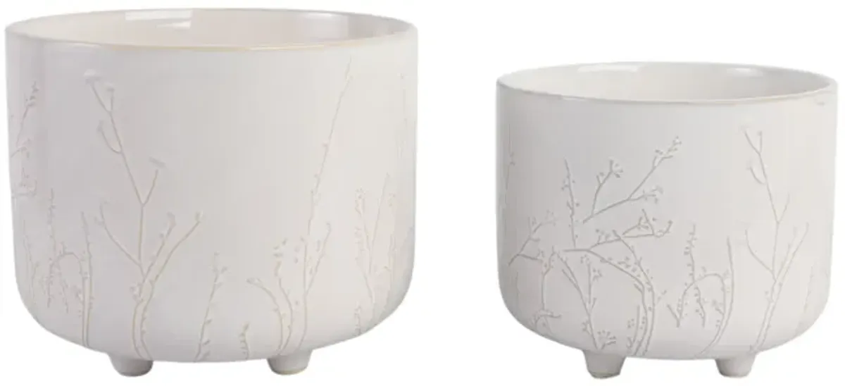 S/2 9/11" Blooming Branches Planters, Ivory
